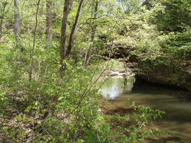 Rock Bridge Upstream
